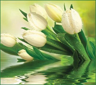 Фотообои 12 листов VIP Белые тюльпаны оптом